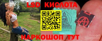шишки Новозыбков