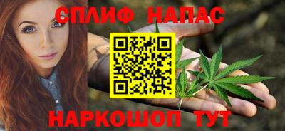 шишки Новозыбков