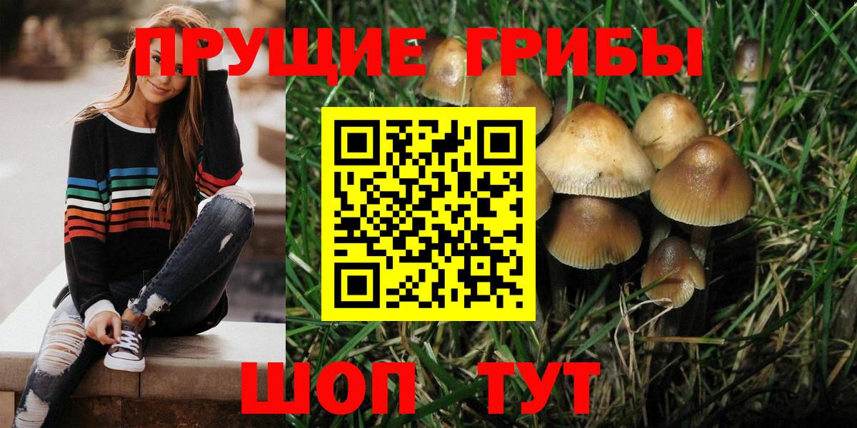 где продают наркотики  Вход с VPN  Новокуйбышевск  Псилоцибиновые грибы ЛСД 